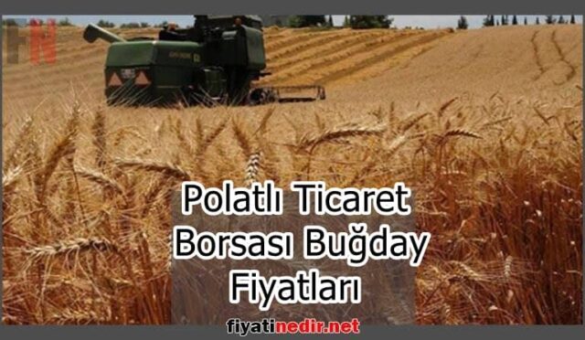 Polatlı Ticaret Borsası Buğday Fiyatları