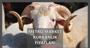 Metro Market Kurbanlık Fiyatları