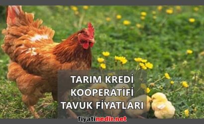 Tarım Kredi Kooperatifi Tavuk Fiyatları