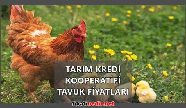 Tarım Kredi Kooperatifi Tavuk Fiyatları