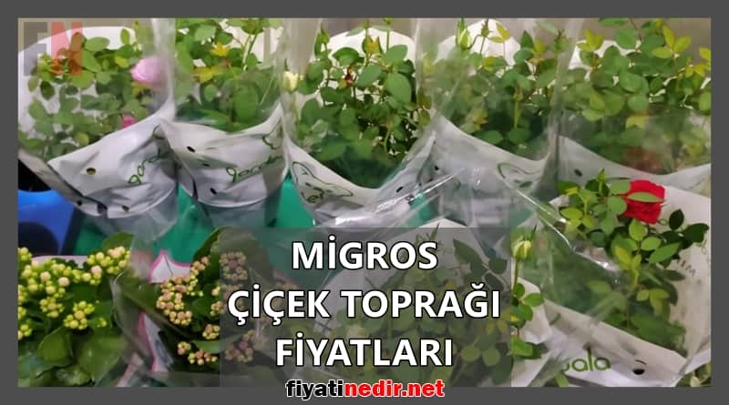 migros çiçek toprağı fiyatları