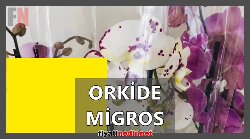 orkide migros
