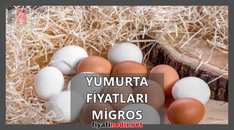 yumurta fiyatları migros