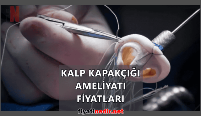 Kalp Kapakçığı Ameliyatı Fiyatları