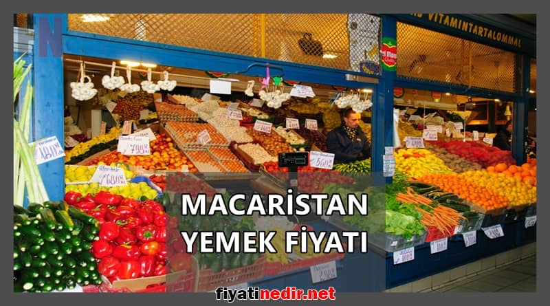 macaristan yemek fiyatı