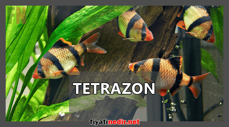 tetrazon