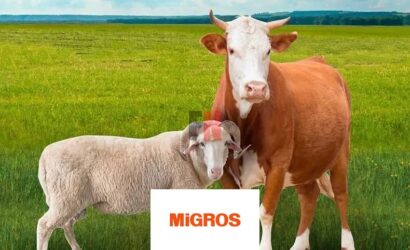 Migros Kurbanlık Fiyatları