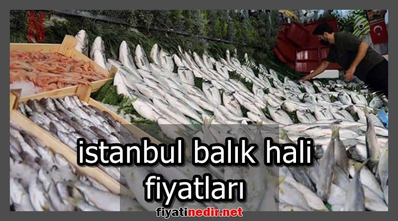 istanbul balık hali fiyatları