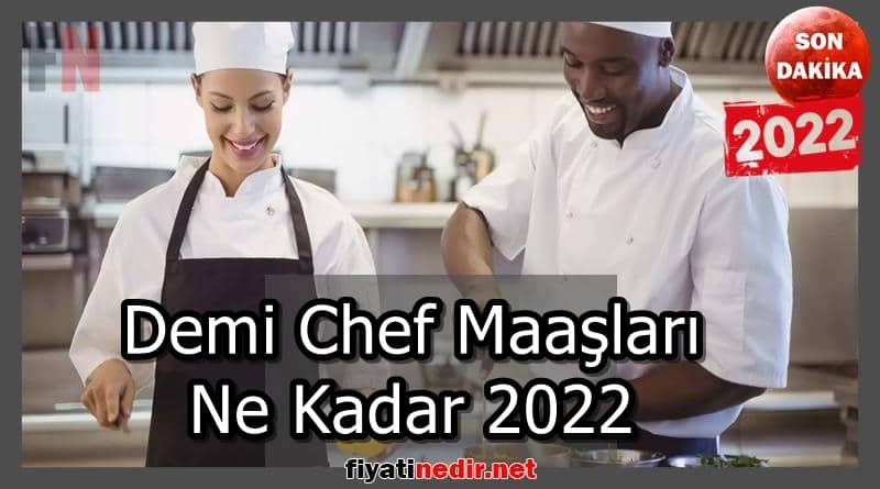 Demi Chef Maaşları Ne Kadar 2022