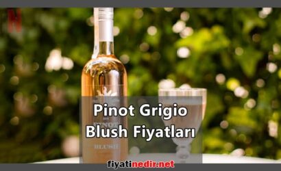 Pinot Grigio Blush Fiyatları
