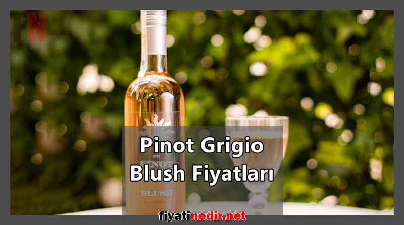 Pinot Grigio Blush Fiyatları