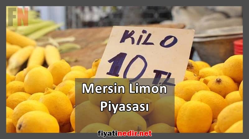 mersin limon piyasası