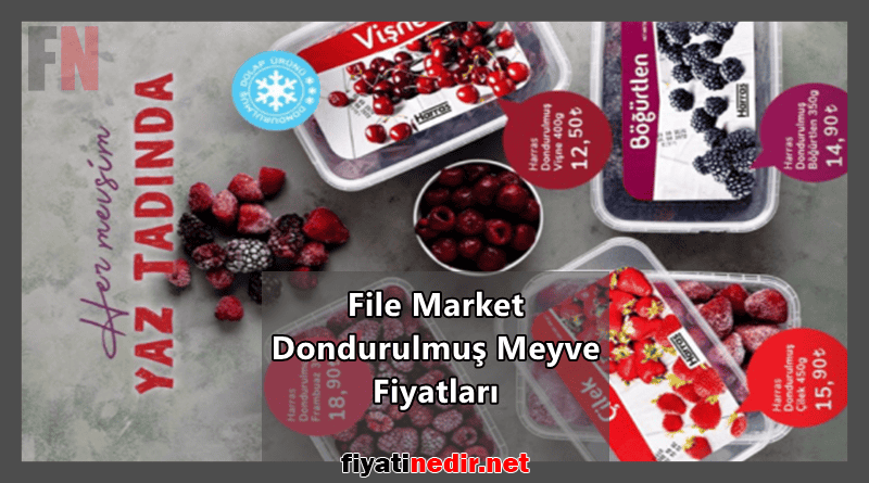 File Market Dondurulmuş Meyve Fiyatları