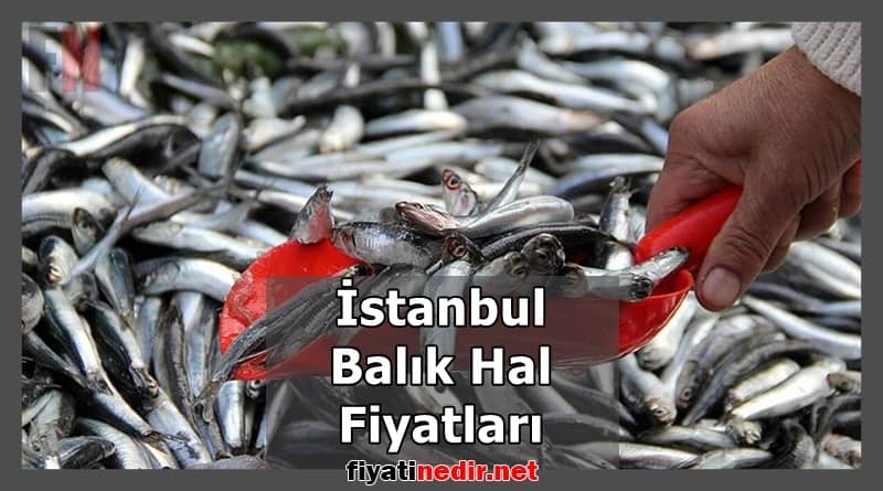 istanbul balık hal fiyatları