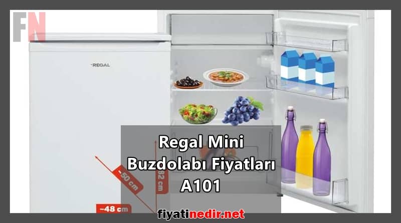 regal mini buzdolabı fiyatları a101