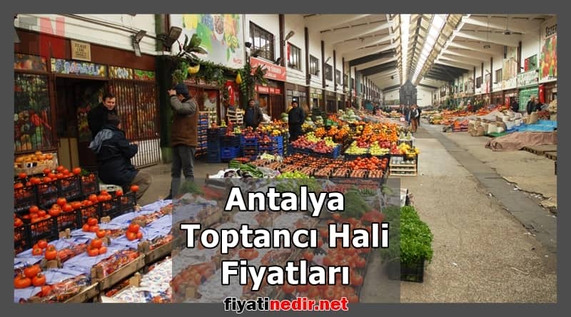 Antalya Toptancı Hali Fiyatları