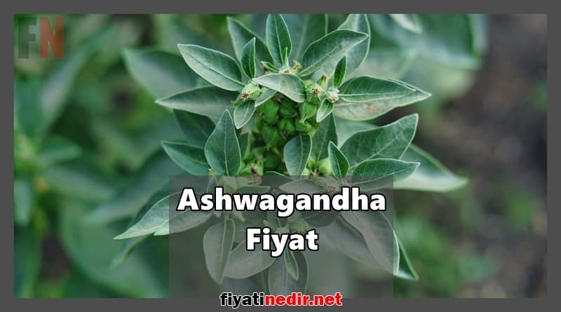 Ashwagandha Fiyat