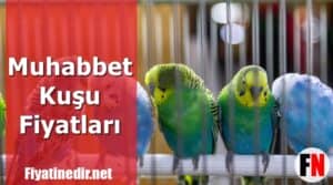 Muhabbet Kuşu Fiyatları