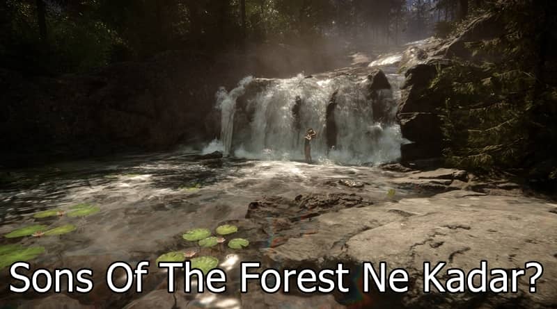 Sons Of The Forest Ne Kadar