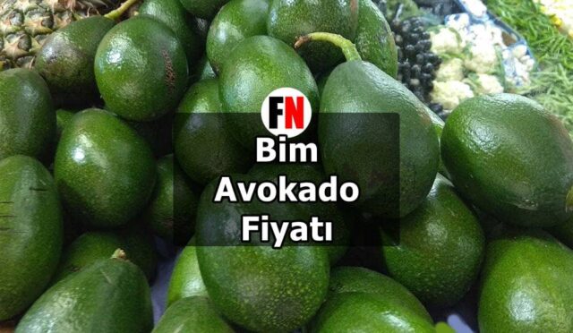 Bim Avokado Fiyatı