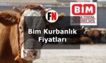 Bim Kurbanlık Fiyatları