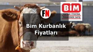 Bim Kurbanlık Fiyatları