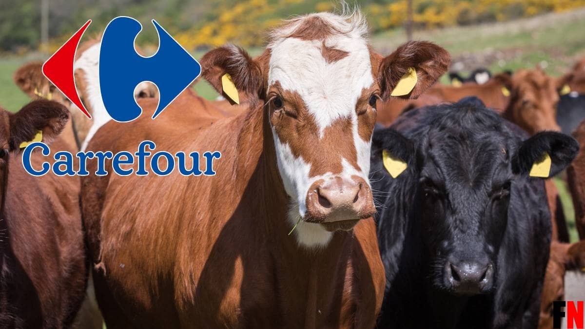 Carrefoursa Kurbanlık Hisse Fiyatları