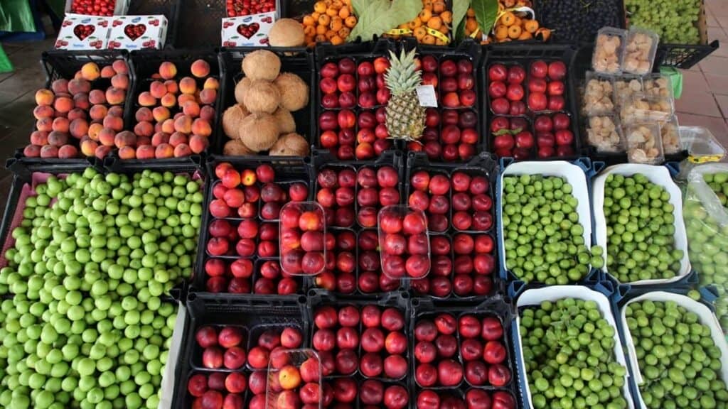 Sivas Meyve Hal Fiyatları