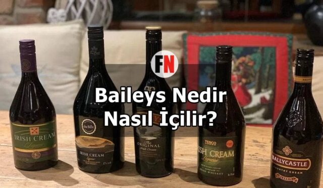 Baileys Nedir, Nasıl İçilir?