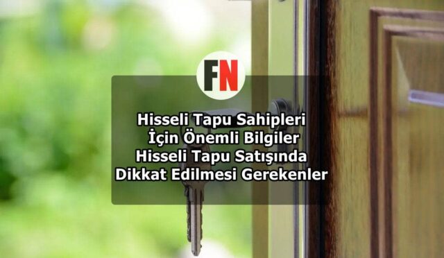 Hisseli Tapu Sahipleri İçin Önemli Bilgiler: Hisseli Tapu Satışında Dikkat Edilmesi Gerekenler