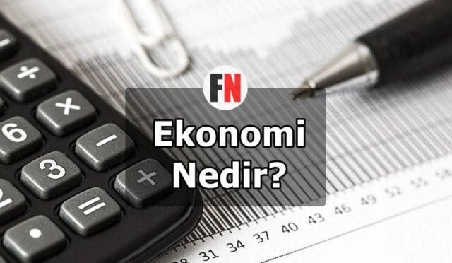 Ekonomi Nedir?