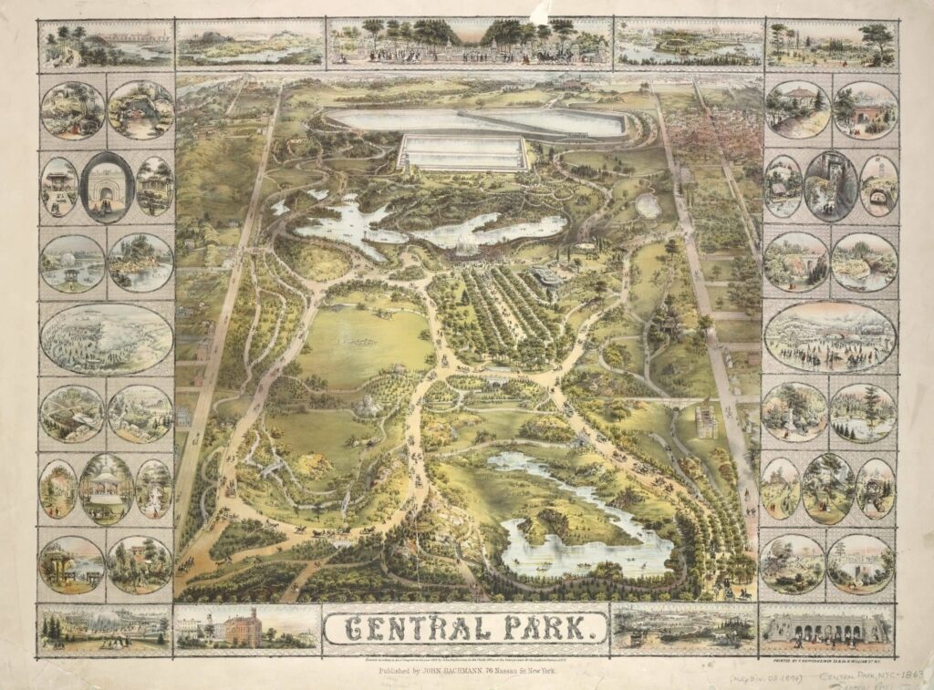 Central Park'ın Benzersiz Tasarımı