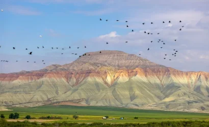 Ankara'dan Bir Nefes: Nallıhan Gezi Rehberi ve Juliopolis Antik Kenti'nin Fısıltıları