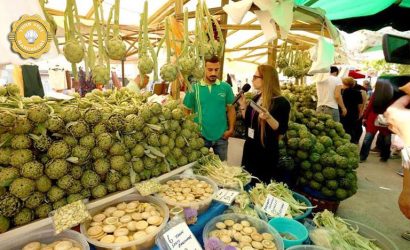 Bir Gezginin Not Defteri: Urla Enginar Festivali’nde Lezzet ve Sanat Dolu Bir Macera