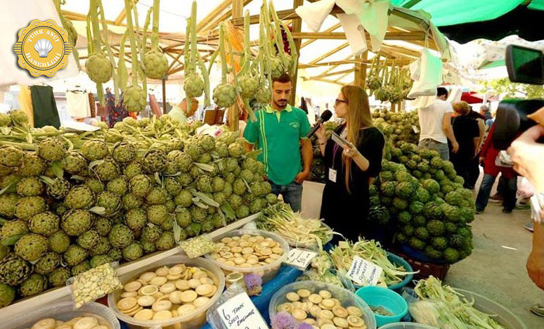 Bir Gezginin Not Defteri: Urla Enginar Festivali’nde Lezzet ve Sanat Dolu Bir Macera