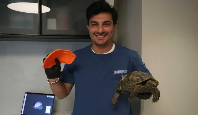 Kaplumbağayı Kurtaran Teknoloji: 'Roka'ya 3 Boyutlu Kabuk Yapıldı 5 Kaplumbağayı Kurtaran Teknoloji ‘Roka’ya 3 Boyutlu Kabuk Yapıldı