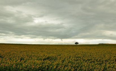 sintra-gezi-rehberi-portekiz-in-masalsi-kalbine-bir-yolculuk