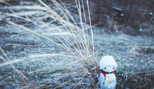 diyabet-yonetiminde-beslenme-kan-sekerini-kontrol-altinda-tutmanin-anahtari