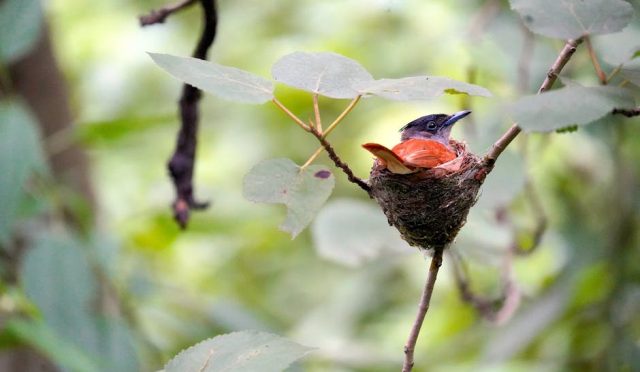 glutensiz-beslenme-dr-seren-gozunden-saglikli-bir-yasam-tarzi-rehberi