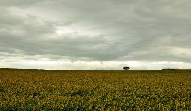 kirsehir-gezi-rehberi-bozkirin-kalbinde-gizemli-bir-zamanda-yolculuk