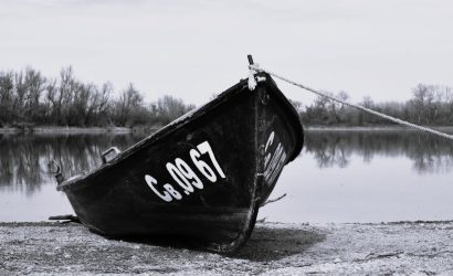 tiroid-hastaliklarinda-beslenme-dr-seren-korkmaz-dan-kapsamli-rehber