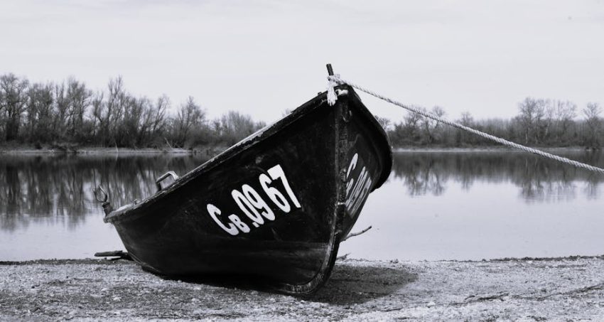 Tiroid Hastalıklarında Beslenme: Dr. Seren Korkmaz’dan Kapsamlı Rehber
