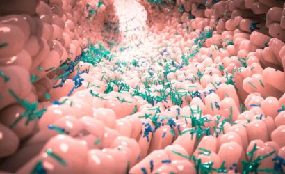 Bağırsak Mikrobiyotası: Vücudumuzun Gizli Orkestrası ve Mikrobiyota Testi Rehberi