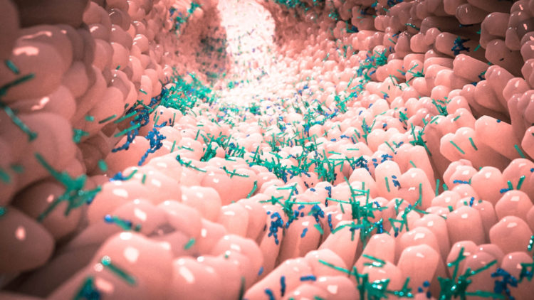 Bağırsak Mikrobiyotası: Vücudumuzun Gizli Orkestrası ve Mikrobiyota Testi Rehberi