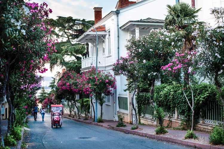 Büyükada Gezi Rehberi: İstanbul'un Kalbinde Prens Adaları'nın Tacı! 1 Büyükada Gezilecek Yerler: Bir Günlük Masal Rotası