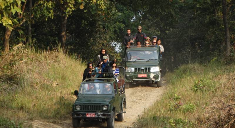 Chitwan Safari Park'a Ulaşım ve Konaklama: Macera Nereden Başlar?