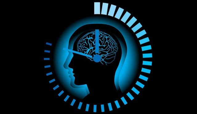 Dr. Seren Anlatıyor: Vücudunuzun Biyolojik Saati Sirkadiyen Ritim ve Sağlıklı Beslenmenin Sırları