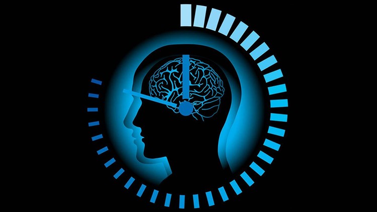 Dr. Seren Anlatıyor: Vücudunuzun Biyolojik Saati Sirkadiyen Ritim ve Sağlıklı Beslenmenin Sırları