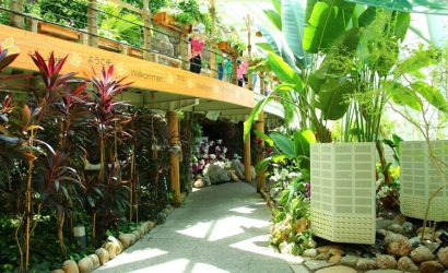 Mevlana Şehrinde Bir Mucize: Konya Tropikal Kelebek Bahçesi Deneyimi