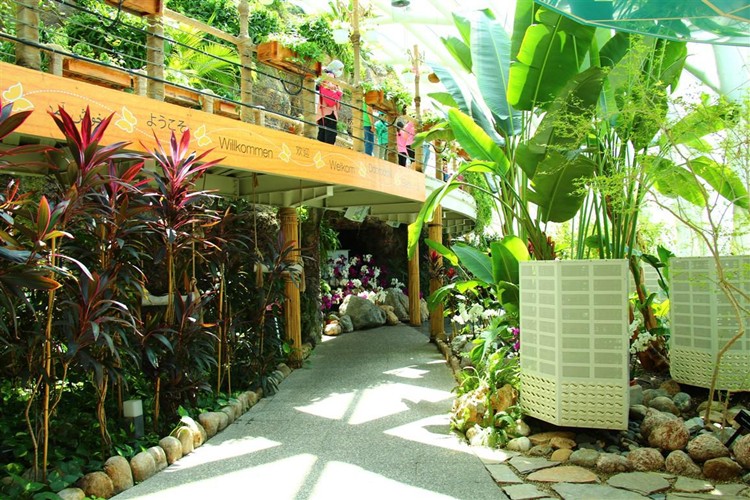 Mevlana Şehrinde Bir Mucize: Konya Tropikal Kelebek Bahçesi Deneyimi